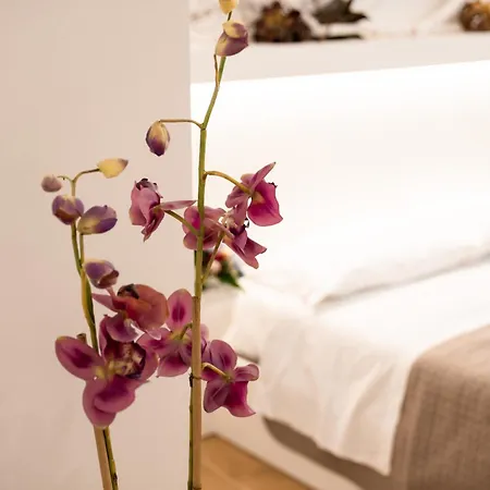 Vendégház Altapuglia 4*
